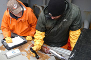 scientists assess a rockfish using two different fish condition analyzers during an Alaska Science Center bottom trawl survey.