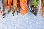 Mackeral, prawns, a salmon filet, and other seafood resting on ice.