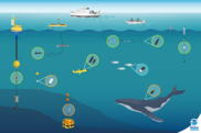 Passive Acoustics Research in the Atlantic Ocean, NOAA Fisheries