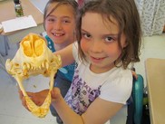 Third grade students with a gray seal skull at Mullen Hall Elementary School in Falmouth, Massachusetts. NOAA Fisheries