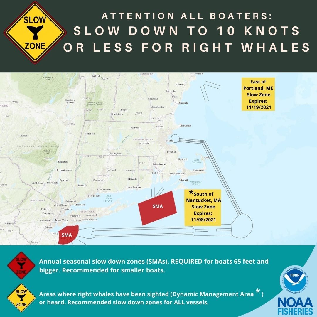 Right Whale Slow Zones East of Portland and Southeast of Nantucket