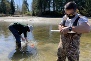 Two people in shallow water with waders on. One is checking devices in the water, one is writing on a clipboard.