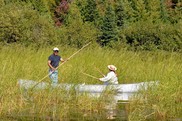 Community members canoe through an area of wild rice in the St. Louis River Estuary. Credit: Great Lakes Indian Fish & Wildlife Commission