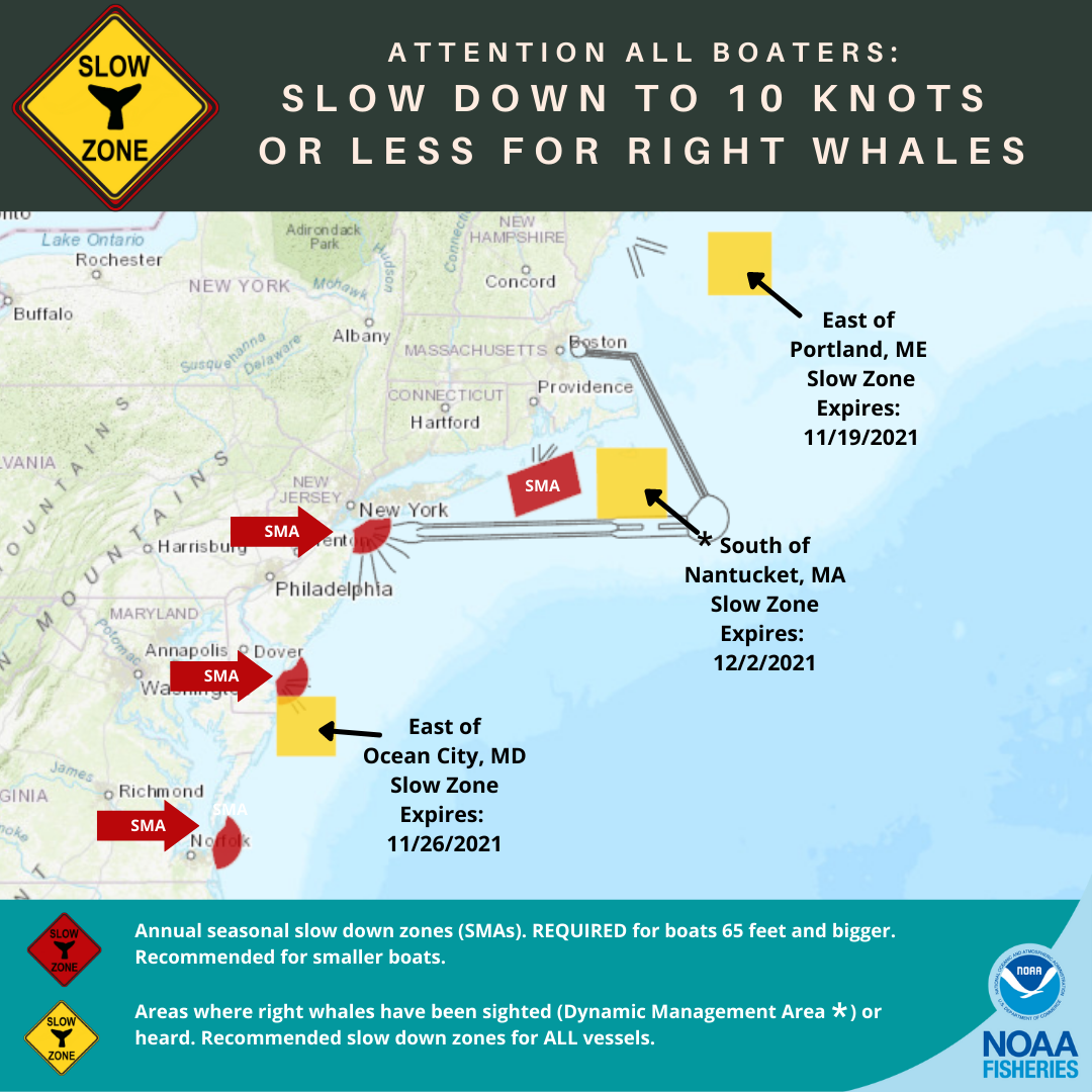 Extension of Right Whale Slow Zone South of Nantucket, MA - Effective ...