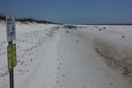 Lightly vegetated dunes on a beach. Signs say "do not enter" and "restoration in progress"