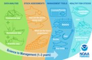 Fisheries Stock Assessment NEFSC