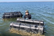 Adriane Michaelis prepares to harvest oysters from floating gear in Alabama.