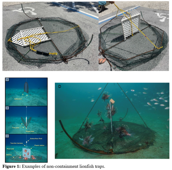 Examples of non-containment lionfish traps