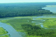 Aerial view of a river meandering into the Chesapeake Bay.