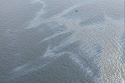 Oil is seen on the surface of Gulf of Mexico waters during the Taylor Energy oil spill. Credit: U.S. Coast Guard