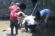 Three students and a teacher explore what they caught in a small net in their local stream as part of an outdoor education project.