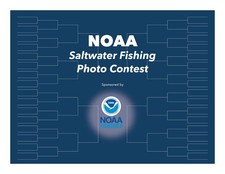 NOAA Recreational Fishing Photo Contest Bracket