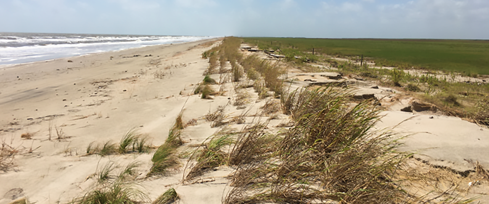 A mound of beach dune habitat protects marshlands on the other side in Texas.
