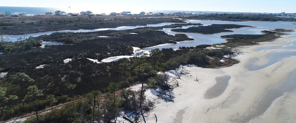 Aerial view of beach and vegetated habitat on the Gulf Coast.