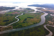 Aerial view of a river and streams flowing into a bay. Snohomish River Estuary. Credit: NOAA Fisheries