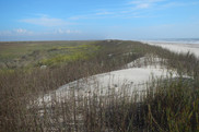 A mound of beach dune habitat protects marshlands on the other side in Texas. Credit: Texas General Land Office