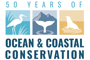 Decorative image that says: 50 Years Of Ocean & Coastal Conservation