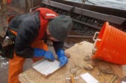 Northeast Industry-Funded Scallop Observers, NOAA Fisheries