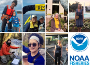A collage of images of 7 women employees of NOAA Fisheries, and the NOAA Fisheries logo.