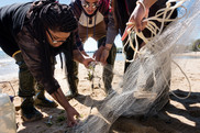 Youth inspect the contents of a seine net on a beach.