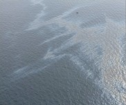 Oil slick in water viewed from the air at the Taylor MC20 site (Credit: USCG).