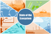 State of the Ecosystem, NOAA Fisheries