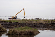 Construction equipment in a wetland