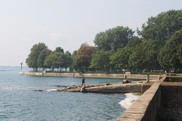 A concrete seawall separates a park from the water.
