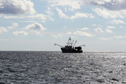 A fishing vessel on the horizon