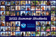 Mosaic image with 60 square images of students