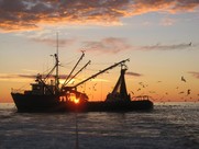 Sustainable Fisheries Northeast Fishing Vessel