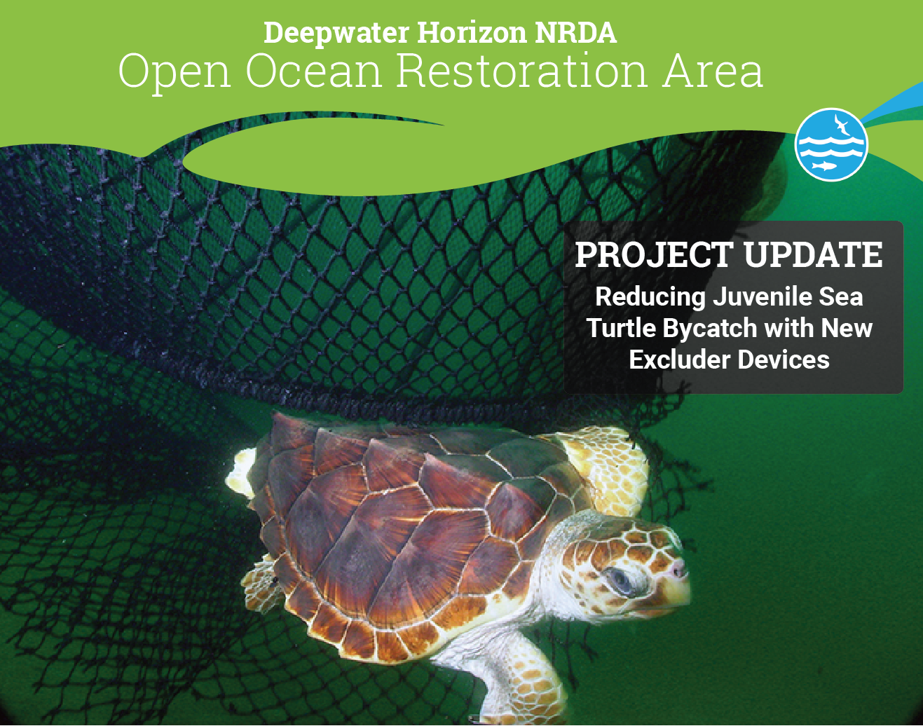 Designing Excluder Devices to Reduce Juvenile Sea Turtle Bycatch