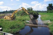 Construction equipment in a wetland, alongside a creek.