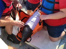 NPI dolphin rescue (2) June 2022 credit TMMSN