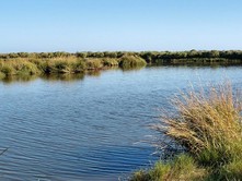 LA Wetlands Jeanne Allen 750x500_0