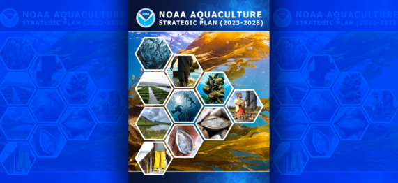 noaa-aquaculture-strategic-plan-2023-2028-feature-image.png