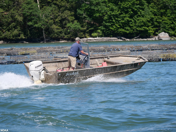 damariscotta-river-maine-oyster-farmer-on-boat-ladon-swann-sea-grant-2022.jpg