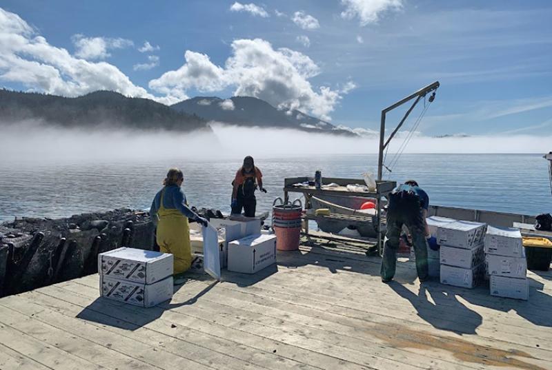 750x500-salty-lady-seafood-farm-alaska