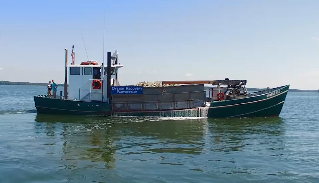 snip-no-shell-left-behind-oyster-recovery-partnership-boat