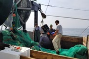 Three men stand on the back deck of a fishing vessel over a net that is unspooled from the net reel on the stern.