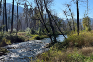 A river flows through a wooded area.