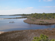 A view of a Florida Gulf coast marshland.