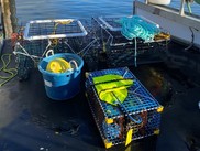 On-demand aquaculture gear