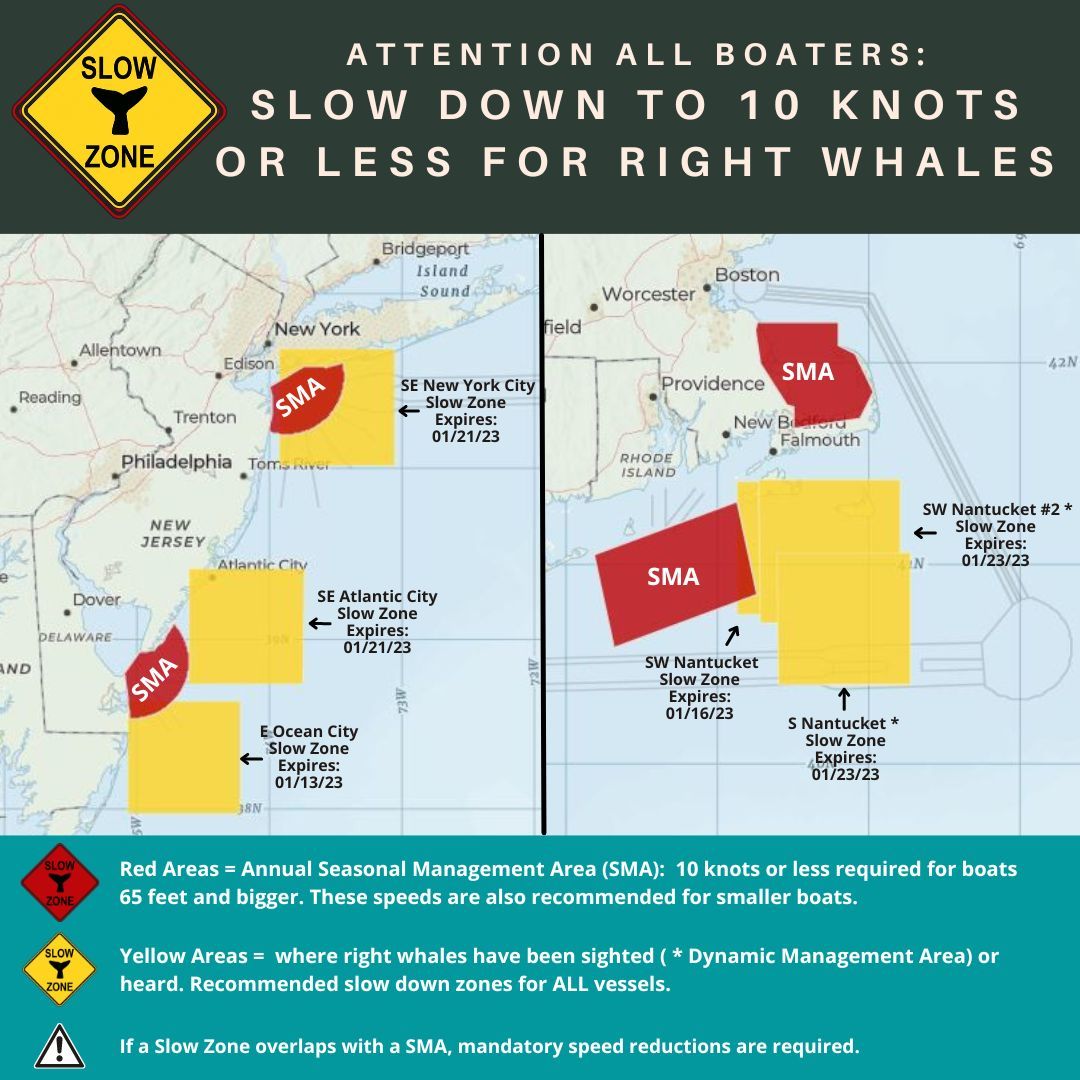 Multiple New Right Whale Slow Zones and Extensions