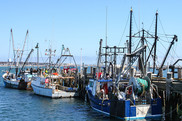 fishing vessels tied at the dock, pointed out to sea