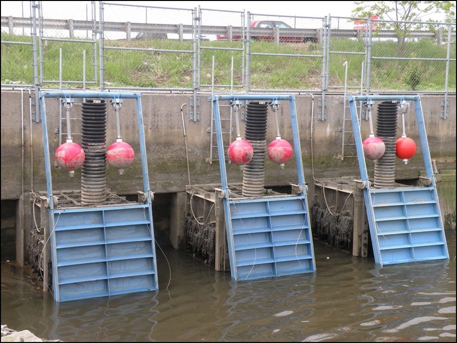 Self-regulating tide gates