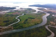 NOAA works in Washington's Snohomish River estuary to restore habitat for salmon and other fish species. 