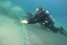 Research divers examine the nets to advance innovative research for the continuous development of more sustainable, reliable, and suitable equipment.