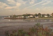 Green foliage appears in the foreground of mudflats in the Delaware River, with a few buildings on land across the waterway