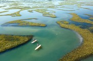 An aerial view of two paddleboarders on a bright green marsh around Wrightsville Beach, North Carolina. Credit: Hank Carter